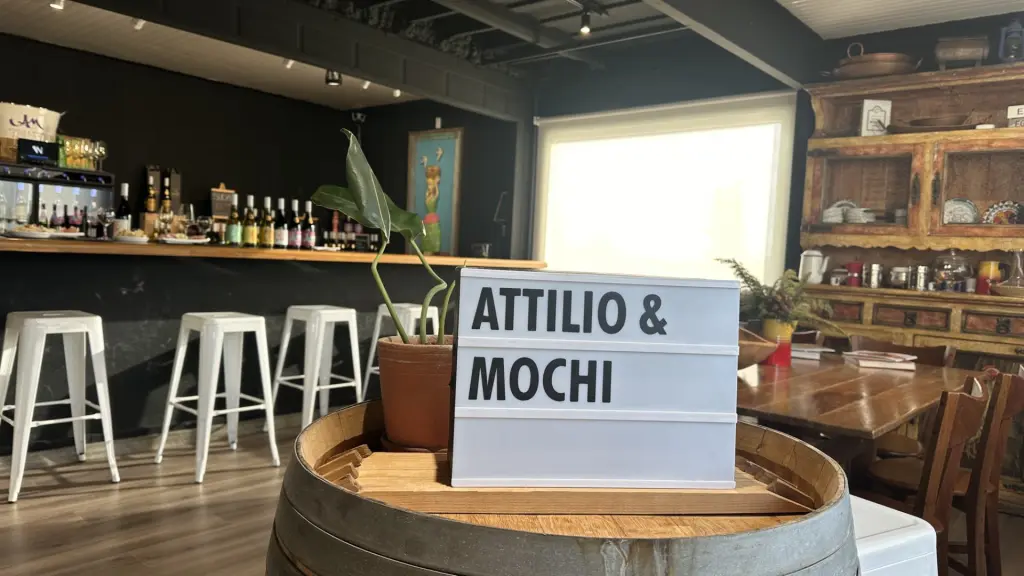 Attilio & Mochi: a vinícola dos brasileiros no Chile 6 Vinicola Atillio Mochi14