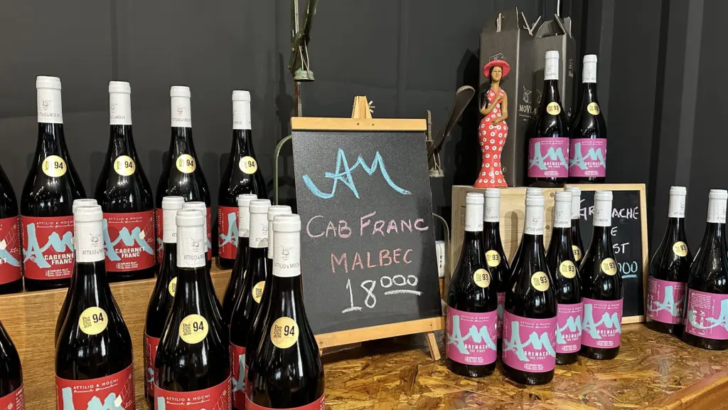 Attilio & Mochi: a vinícola dos brasileiros no Chile 4 Vinicola Atillio Mochi2