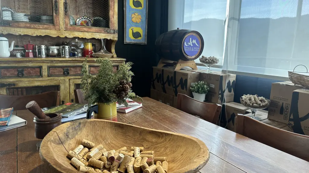 Attilio & Mochi: a vinícola dos brasileiros no Chile 5 Vinicola Atillio Mochi4
