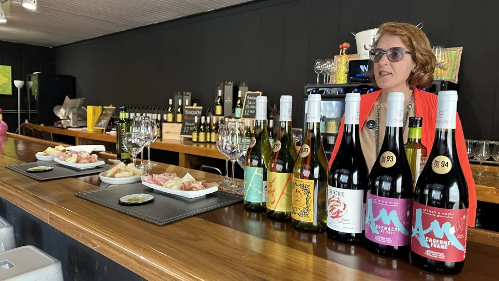 Attilio & Mochi: a vinícola dos brasileiros no Chile 1 Vinicola Atillio Mochi5