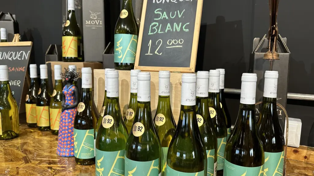 Attilio & Mochi: a vinícola dos brasileiros no Chile 8 Vinicola Atillio Mochi8