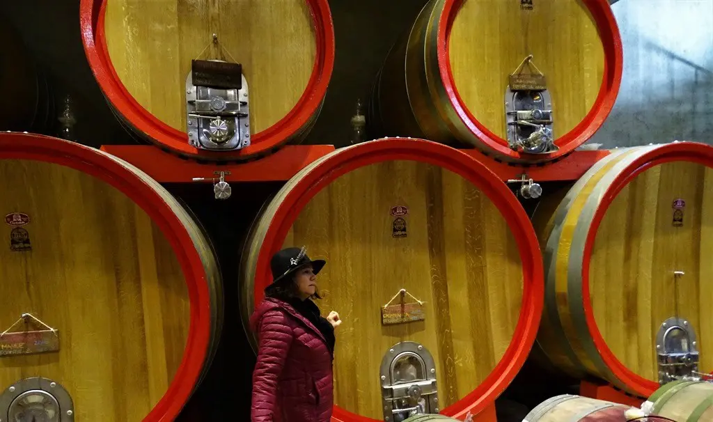 Vinicola Bodega RE Chile471 2.jpg