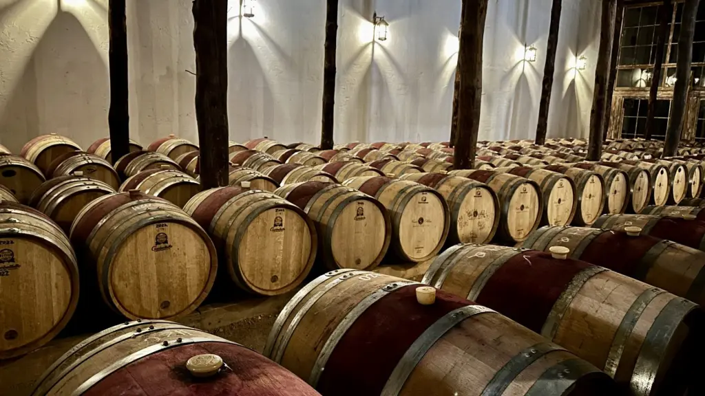 6 vinícolas para visitar no Valle Colchagua, no Chile 19 Vinicola Casa silva2