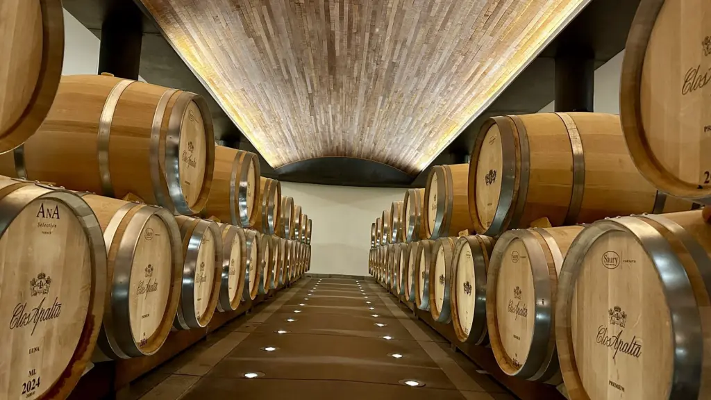 6 vinícolas para visitar no Valle Colchagua, no Chile 7 Vinicola Clos Apalta3
