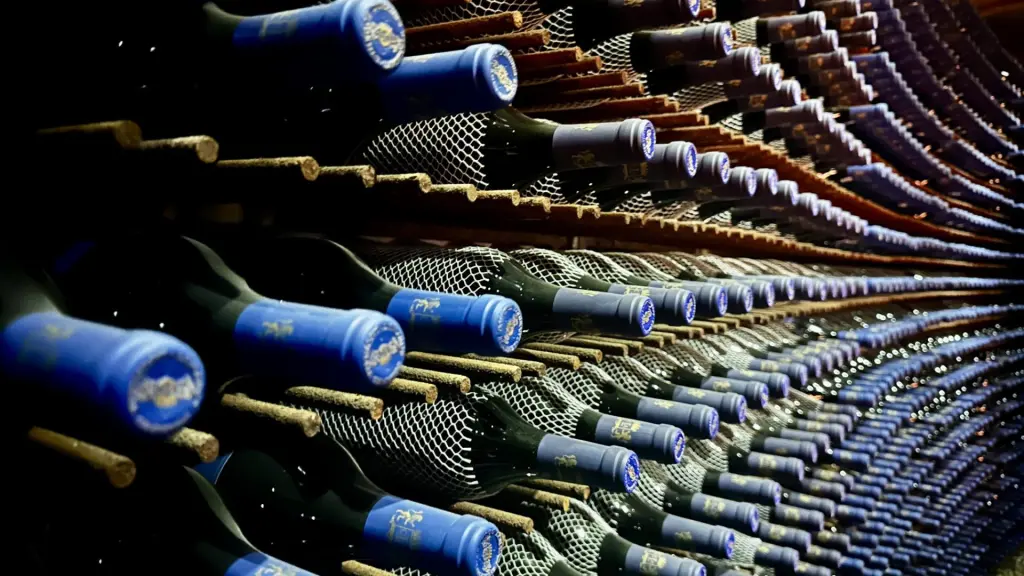 6 vinícolas para visitar no Valle Colchagua, no Chile 5 Vinicola Clos Apalta4