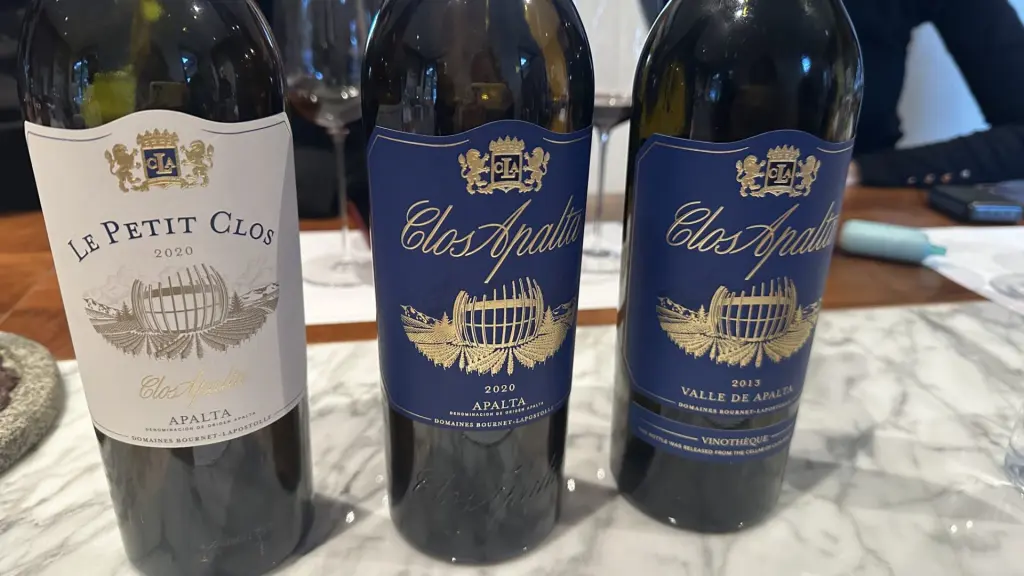 6 vinícolas para visitar no Valle Colchagua, no Chile 8 Vinicola Clos Apalta5