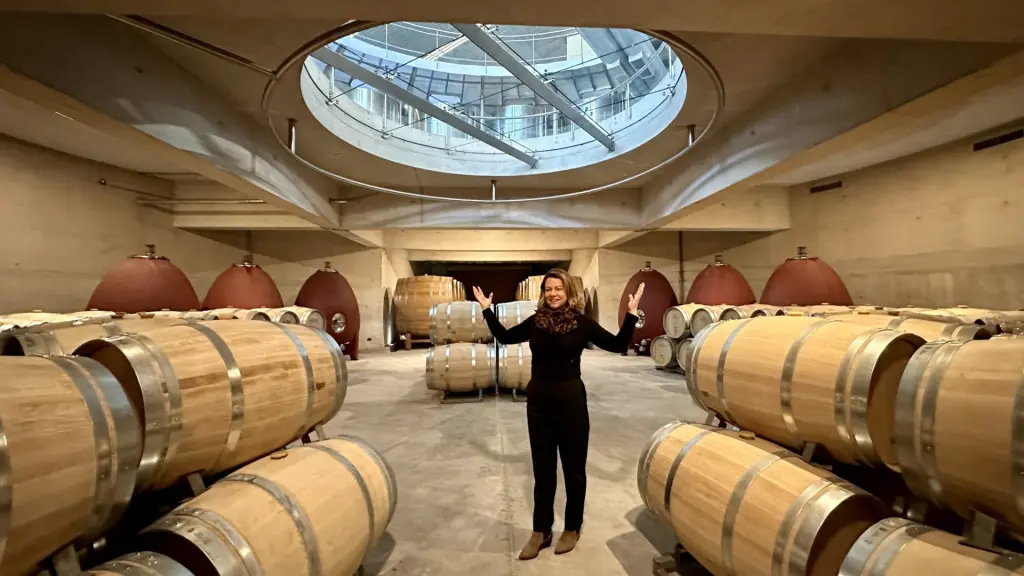Chile: como é o tour e a degustação na Vinícola Errázuriz 4 Vinicola Errazuriz12