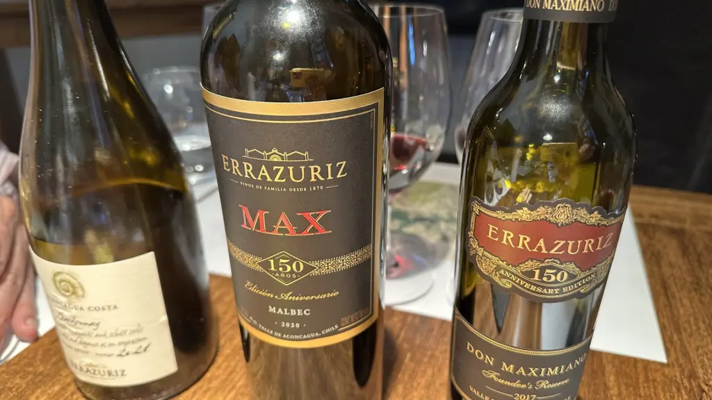 Chile: como é o tour e a degustação na Vinícola Errázuriz 10 Vinicola Errazuriz6