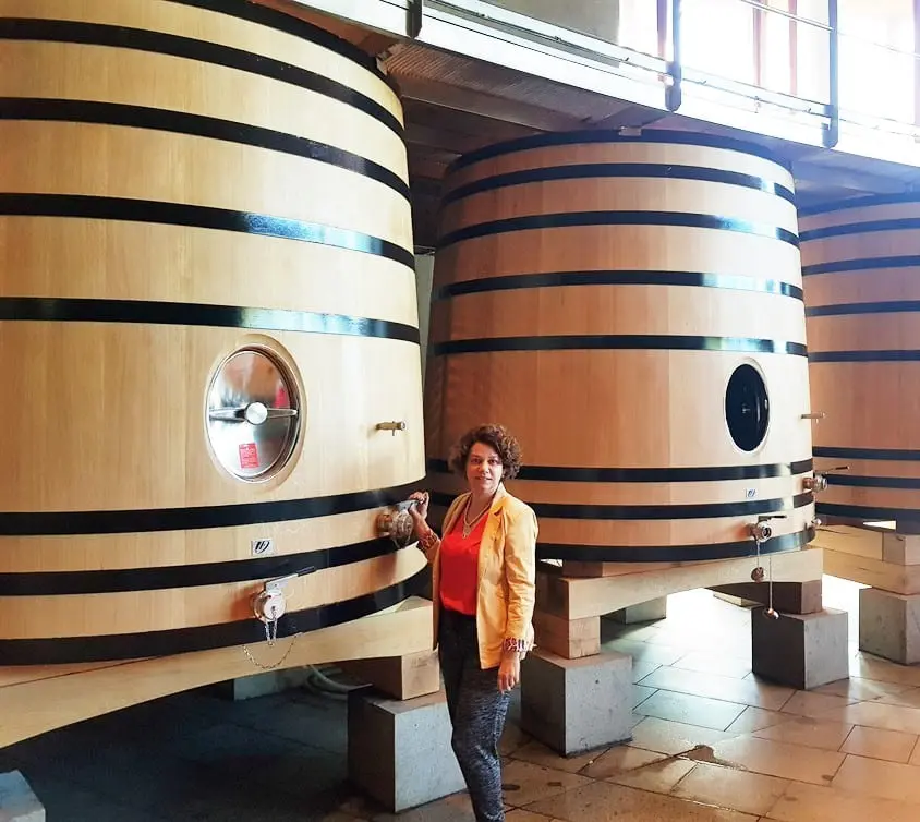 Vinicola La Postolle Chile1556 1.jpg