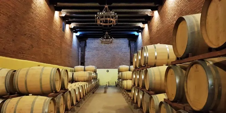 Vinicola Laura Hartwig Chile389 2.jpg