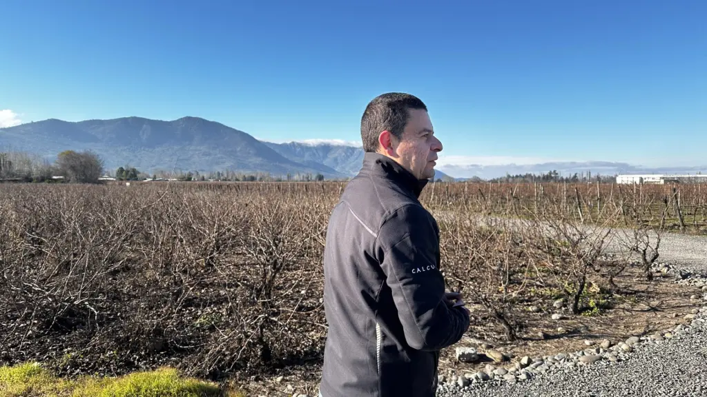 6 vinícolas para visitar no Valle Colchagua, no Chile 15 Vinicola Maquis3
