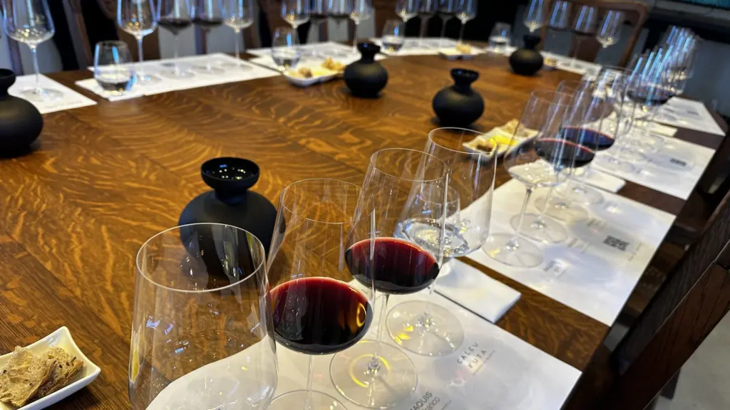 6 vinícolas para visitar no Valle Colchagua, no Chile 16 Vinicola Maquis4