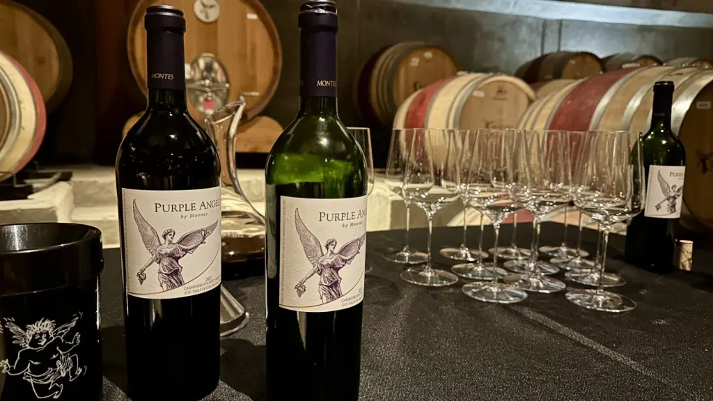 6 vinícolas para visitar no Valle Colchagua, no Chile 2 Vinicola Montes2
