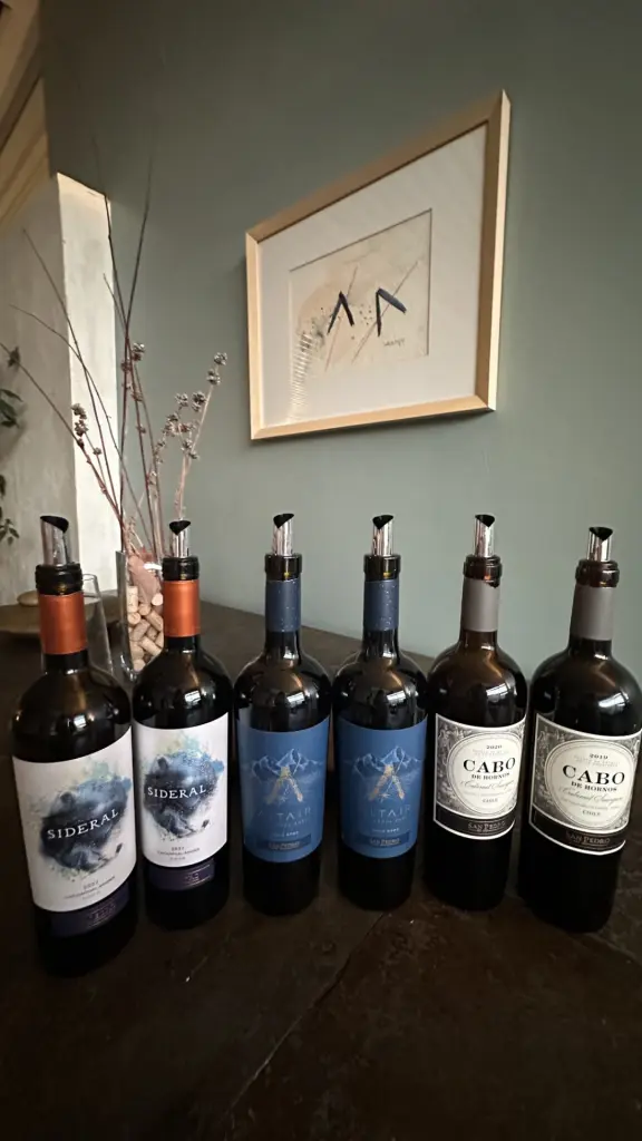 Vinicola San Pedro17