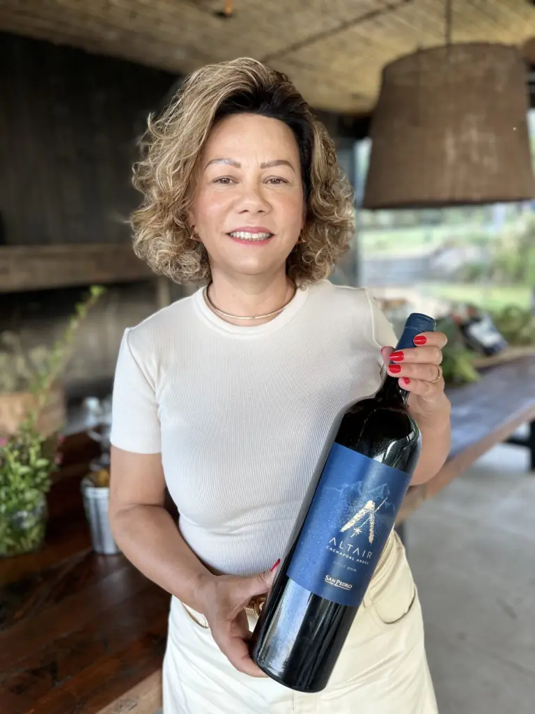 Pontos turísticos de Santiago: 10 lugares incríveis abertos o ano inteiro 6 Vinicola San Pedro5