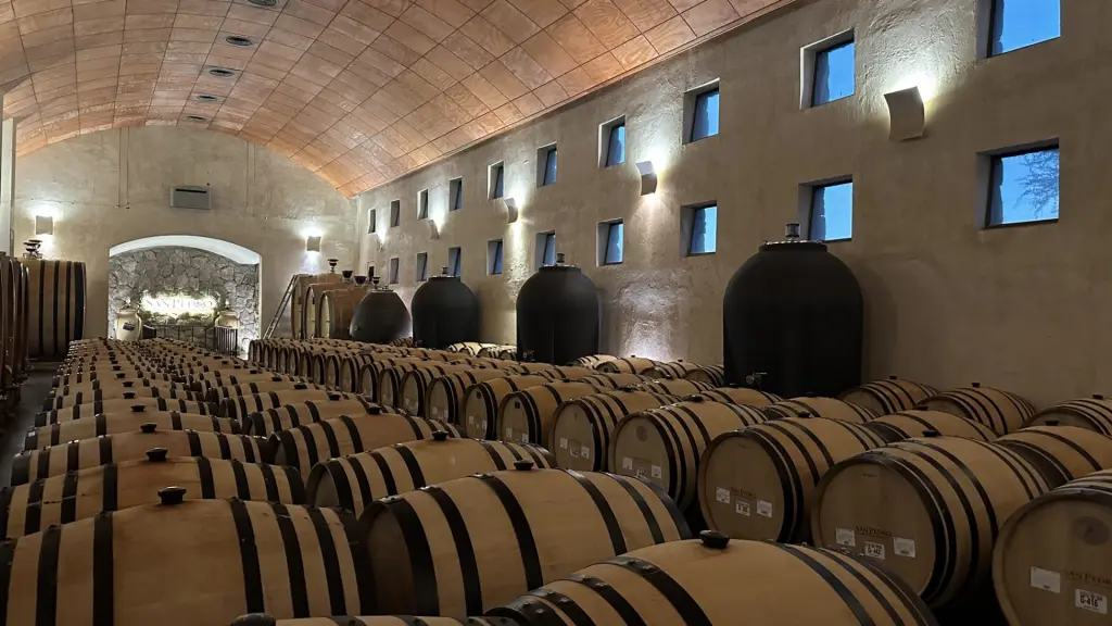 Vinicola San Pedro7