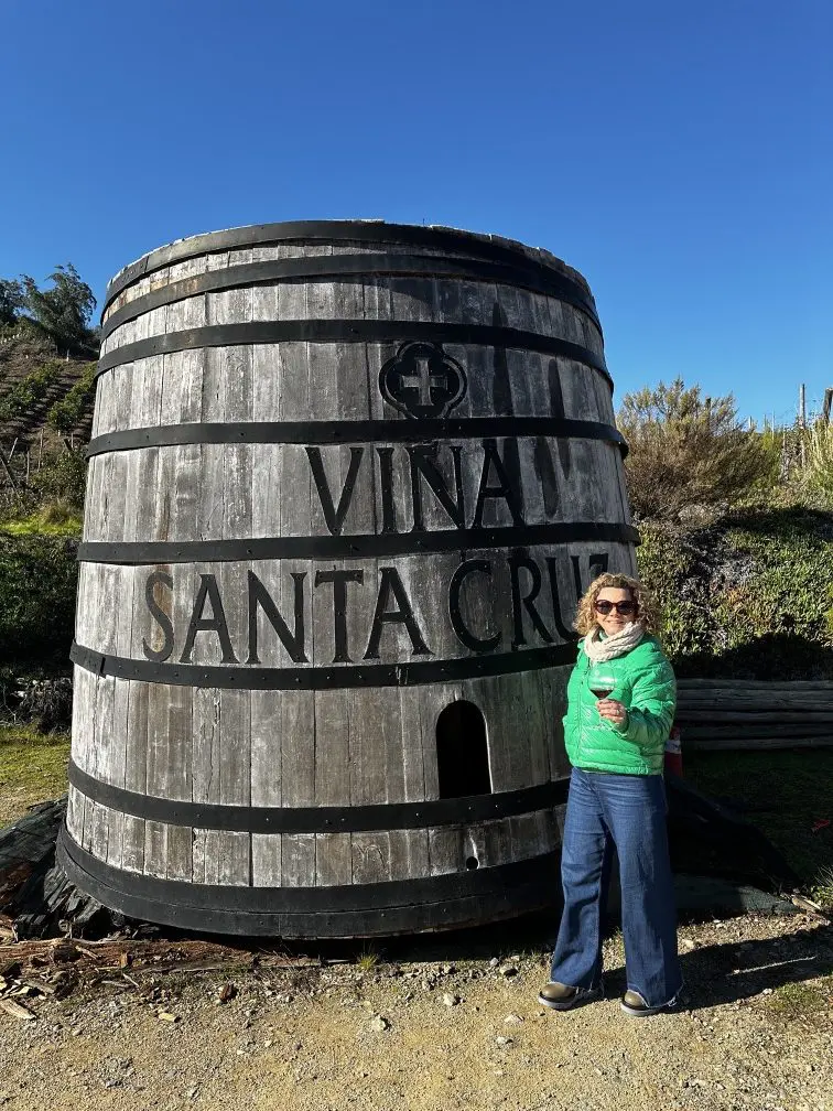 6 vinícolas para visitar no Valle Colchagua, no Chile 12 Vinicola Santa Cruz2 rotated 1.jpg