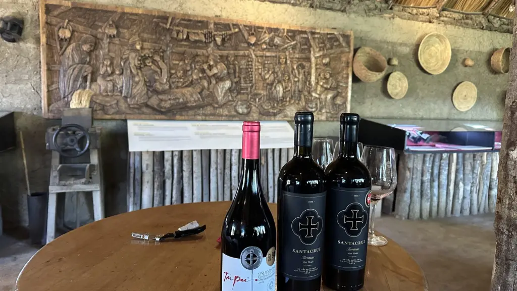 6 vinícolas para visitar no Valle Colchagua, no Chile 10 Vinicola Santa Cruz5