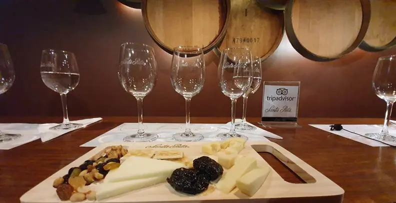 Vinicola Santa Rita Chile1086.jpg