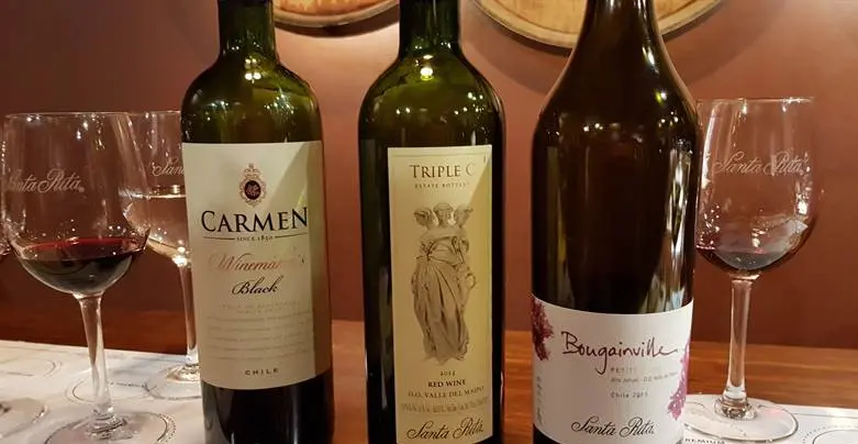 Vinicola Santa Rita Chile1088.jpg