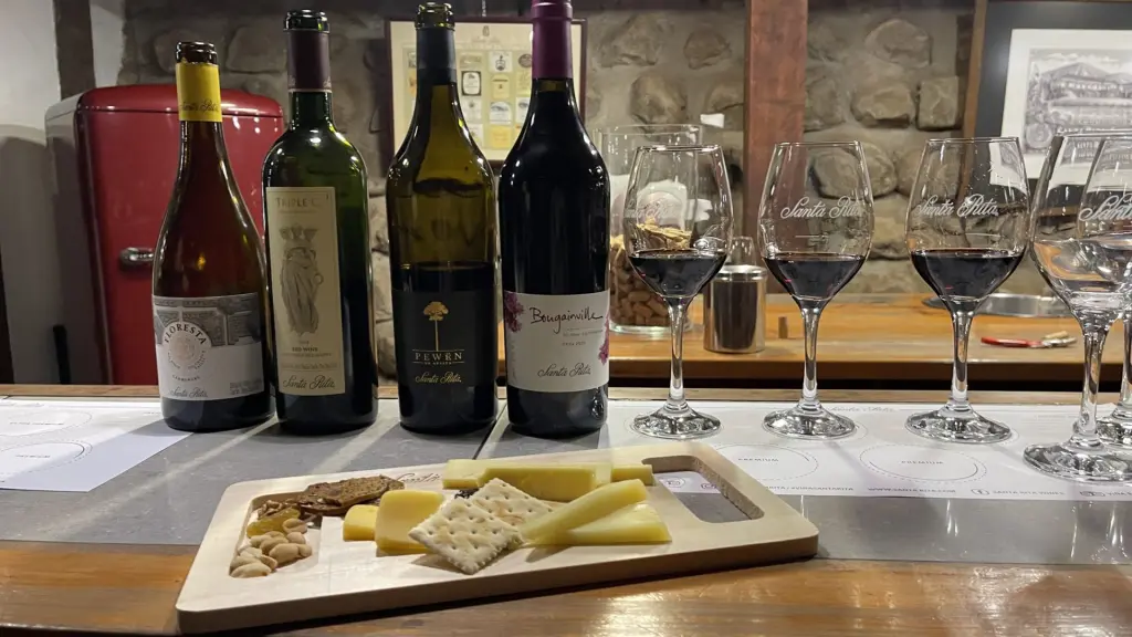 Vinícola Santa Rita: tour completo com almoço e degustação de vinhos no Chile 6 Vinicola Santa Rita12