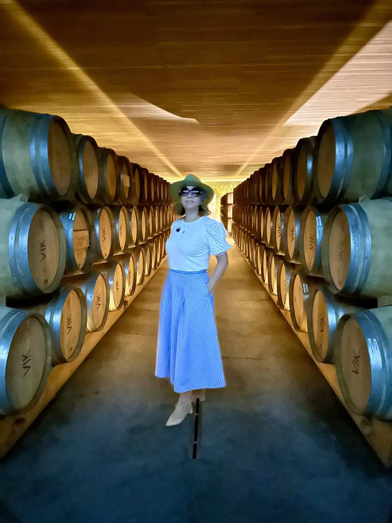 Vinícola VIK, número 1 do mundo: como é o tour, a degustação e o almoço 2 Vinicola VIK4