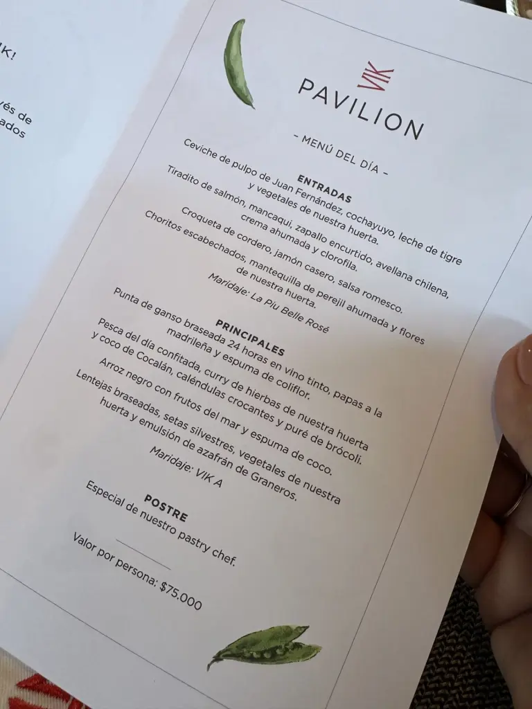 Vinícola VIK, número 1 do mundo: como é o tour, a degustação e o almoço 8 Vinicola VIK6 rotated 1