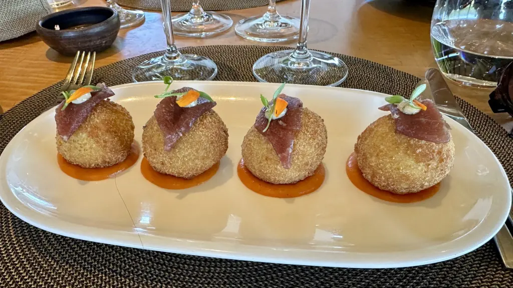 Vinícola VIK, número 1 do mundo: como é o tour, a degustação e o almoço 11 Vinicola VIK8