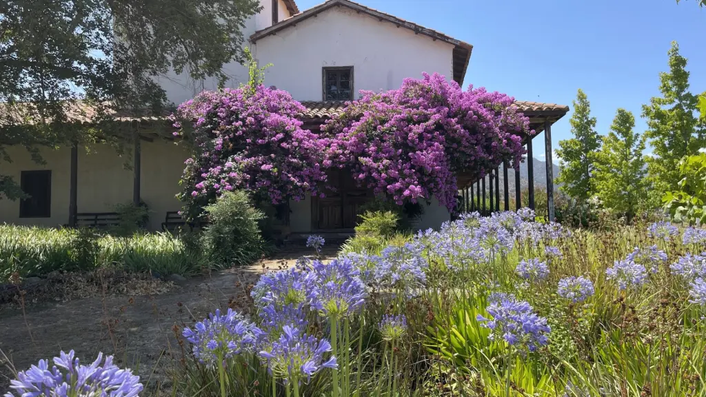 Vinícola Valle Secreto - um segredo guardado em Cachapoal 11 Vinicola Valle Secreto18