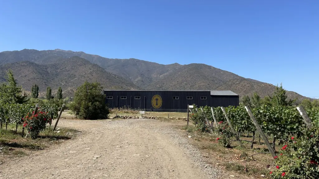 Vinícola Valle Secreto - um segredo guardado em Cachapoal 3 Vinicola Valle Secreto5
