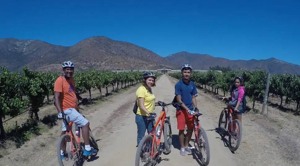 Valle de Casablanca: tour e degustação em 3 vinícolas no mesmo dia 2 Vinicola Veramonte307.jpeg