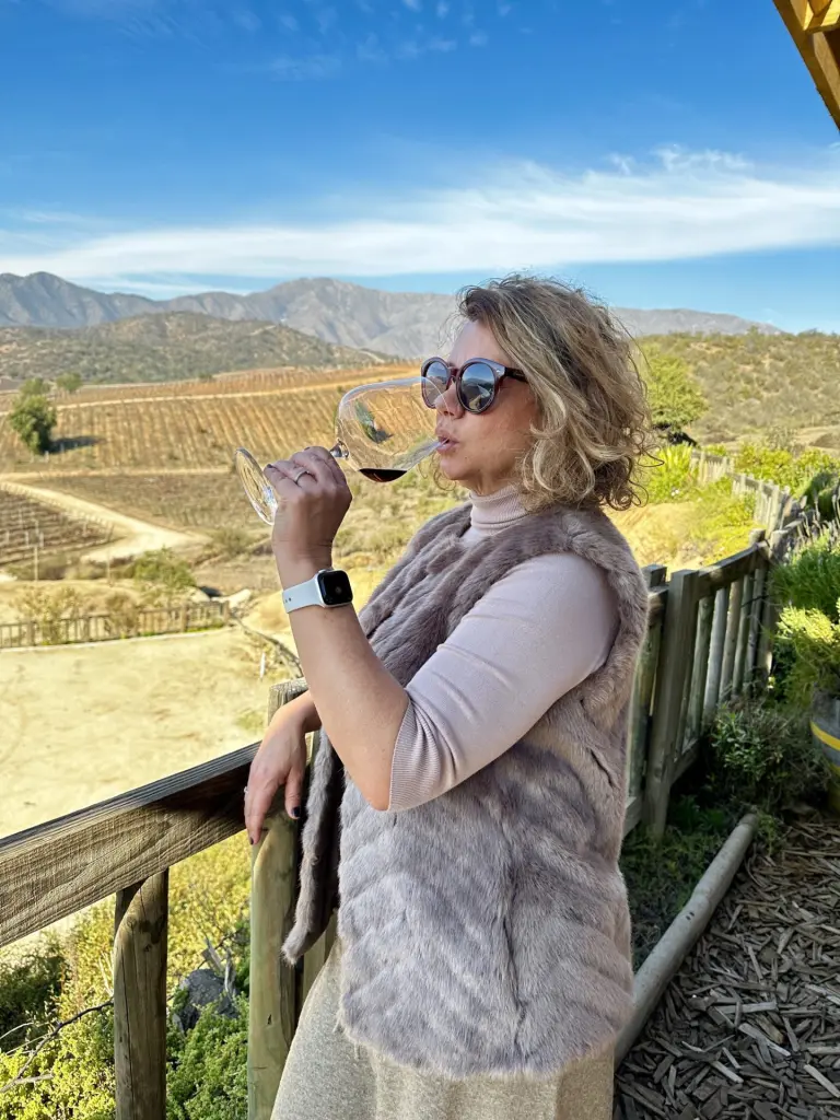Villard: a vinícola boutique com a melhor experiência no Valle de Casablanca 14 Vinicola Villard10