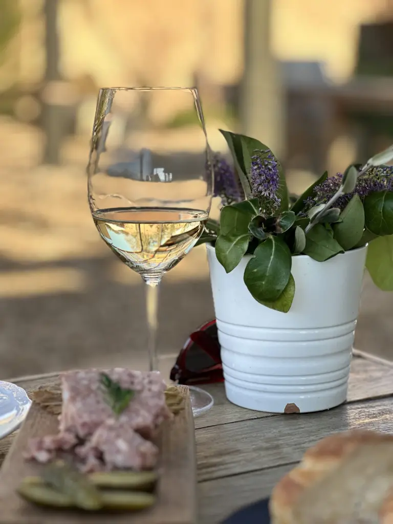 Villard: a vinícola boutique com a melhor experiência no Valle de Casablanca 8 Vinicola Villard14