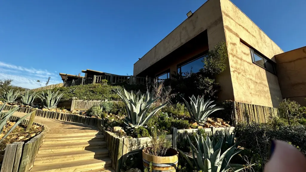 Villard: a vinícola boutique com a melhor experiência no Valle de Casablanca 1 Vinicola Villard19