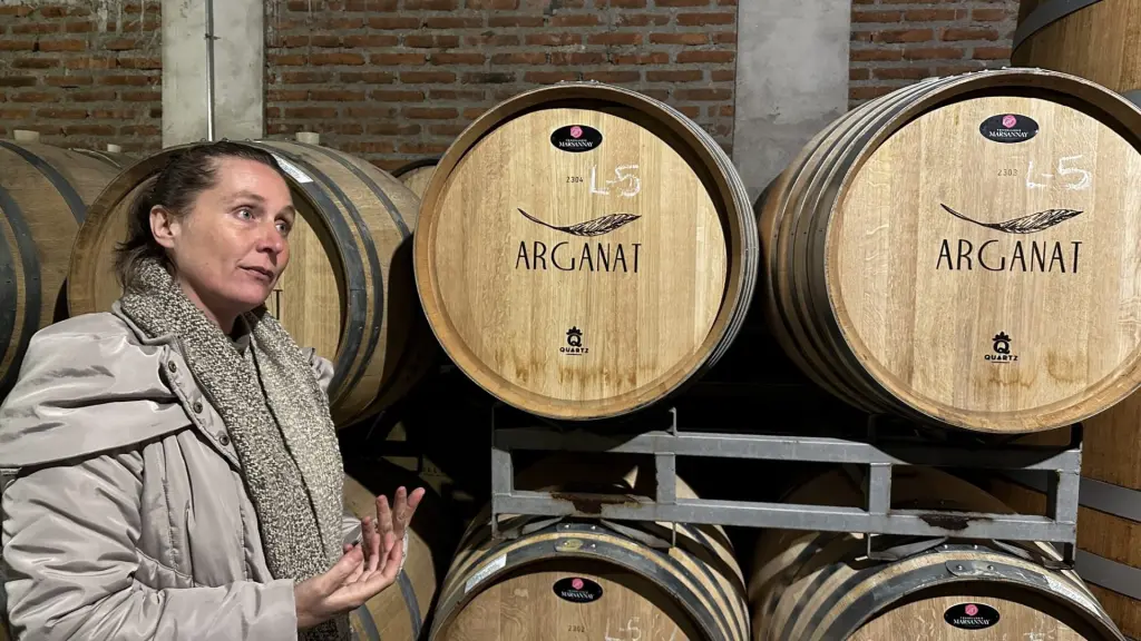 Villard: a vinícola boutique com a melhor experiência no Valle de Casablanca 5 Vinicola Villard4
