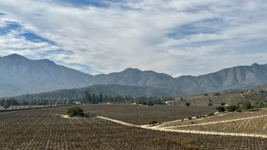 Villard: a vinícola boutique com a melhor experiência no Valle de Casablanca 2 Vinicola Villard6