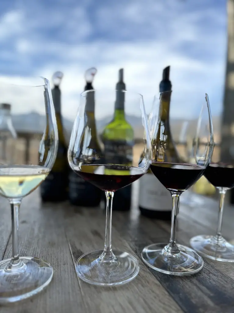 Vinicola Villard8 3