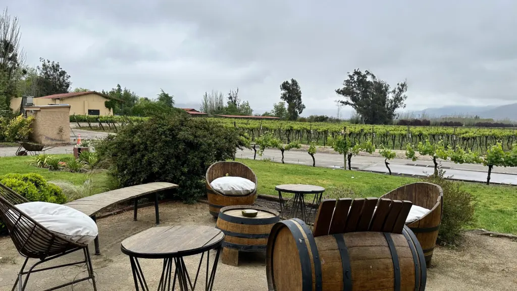 Chile: conhecendo a vinícola William Colle, no Valle de Casablanca 14 Vinicola William Colle2