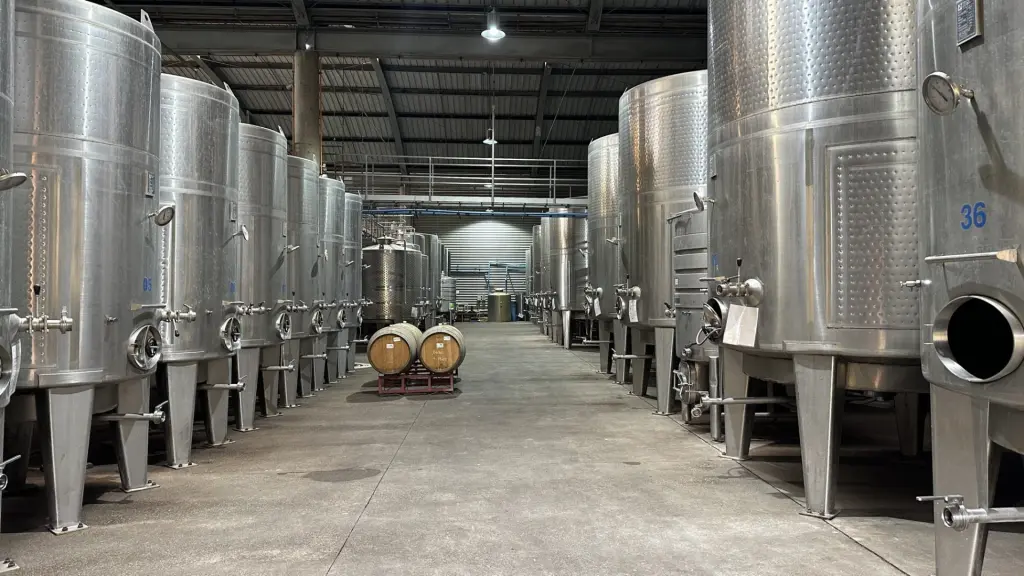 Chile: conhecendo a vinícola William Colle, no Valle de Casablanca 3 Vinicola William Colle4