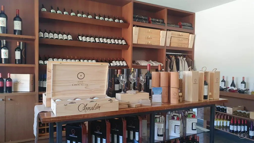 Conhecendo a vinícola Chocalán no Valle del Maipo 6 Vinicola chocalan 10