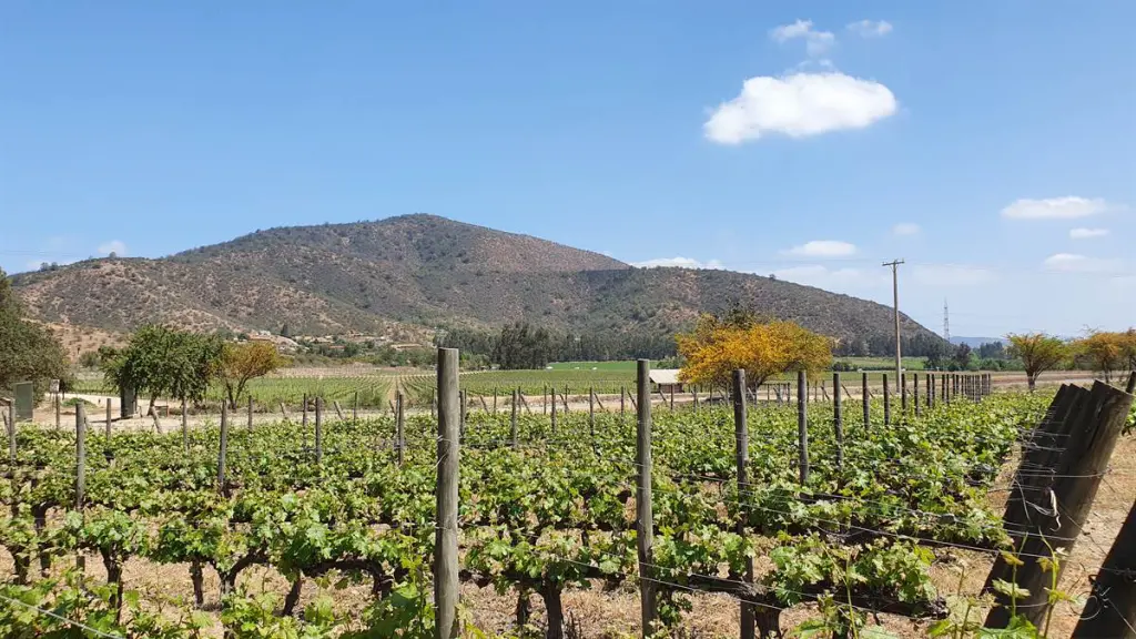 Conhecendo a vinícola Chocalán no Valle del Maipo 3 Vinicola chocalan 4