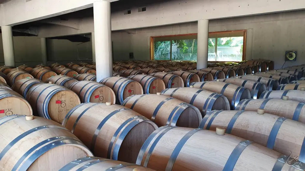 Conhecendo a vinícola Chocalán no Valle del Maipo 4 Vinicola chocalan 5