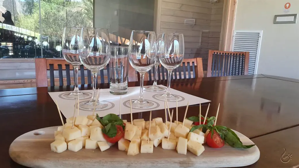 Conhecendo a vinícola Chocalán no Valle del Maipo 7 Vinicola chocalan 8