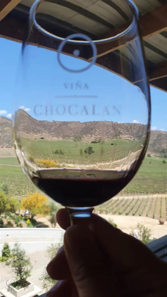 Conhecendo a vinícola Chocalán no Valle del Maipo 1 Vinicola chocalan 9 e1660837785843
