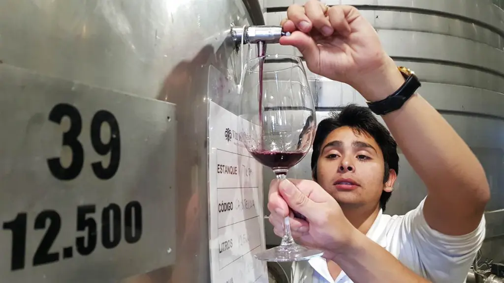 Chile tem 6 vinícolas na lista das 50 melhores do mundo e nós já visitamos todas 4 Degustação na Viu Manent