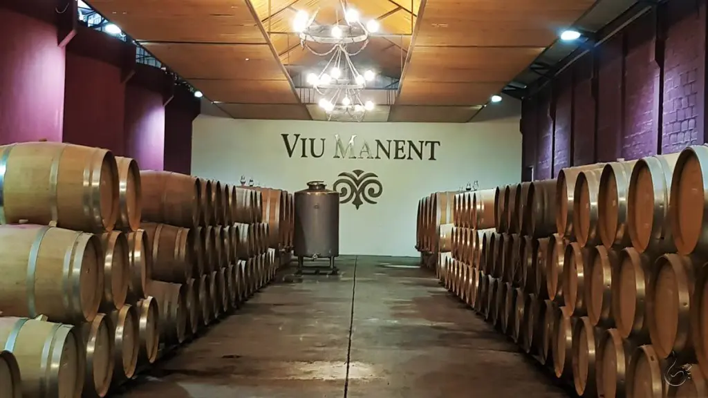 Viu Manent: a vinícola queridinha dos brasileiros no Valle de Colchagua 4 Viu Manent28