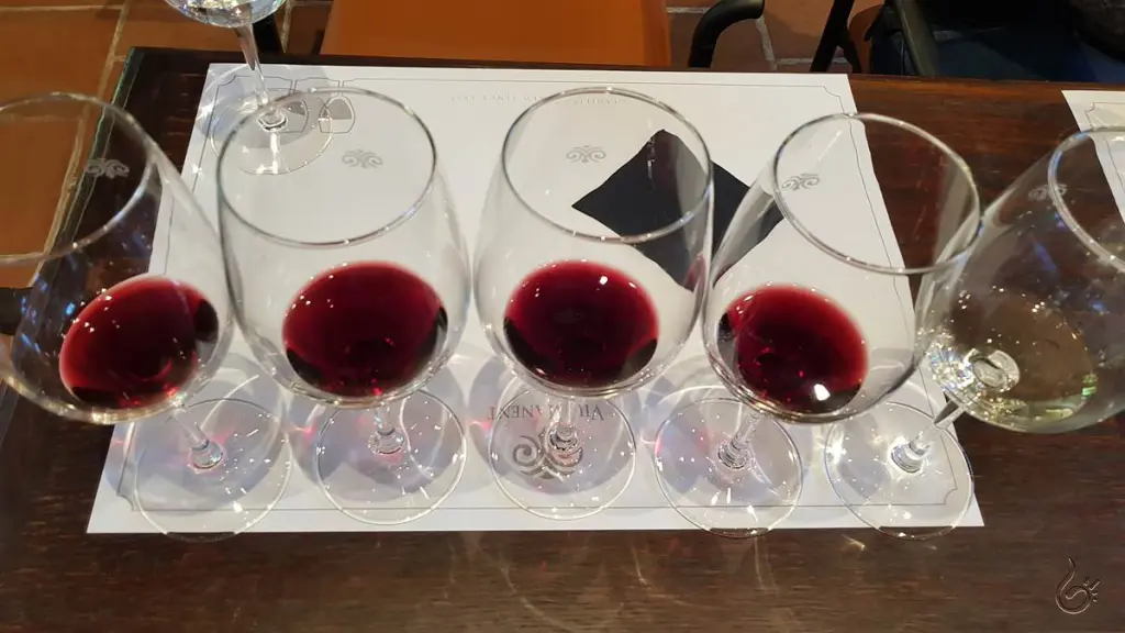 Viu Manent: a vinícola queridinha dos brasileiros no Valle de Colchagua 5 Viu Manent29