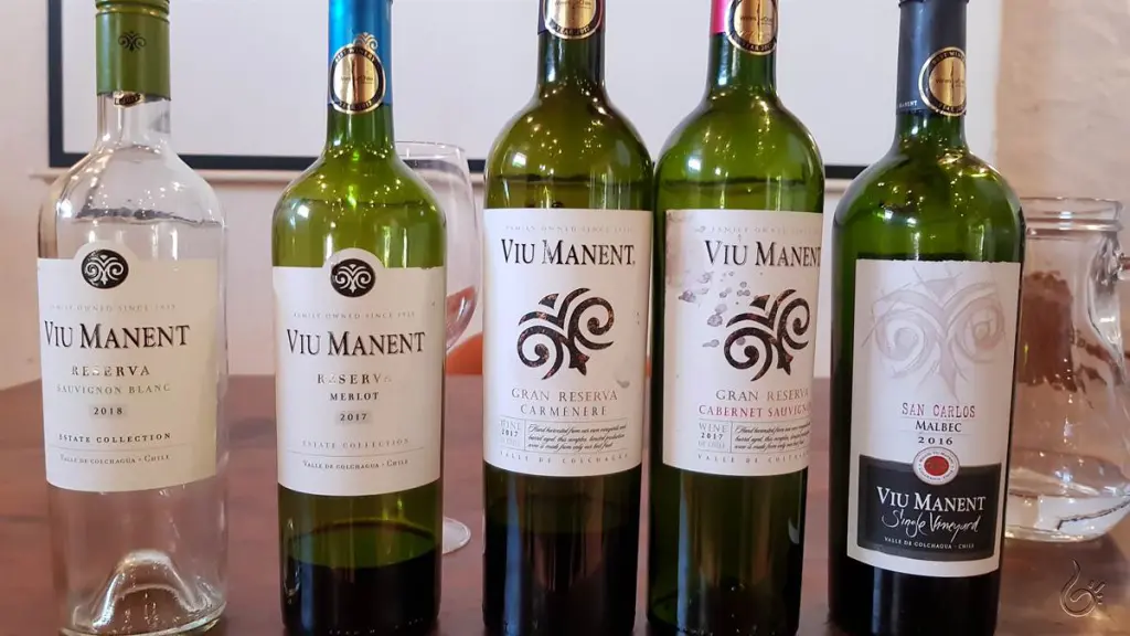 Viu Manent: a vinícola queridinha dos brasileiros no Valle de Colchagua 6 Viu Manent30