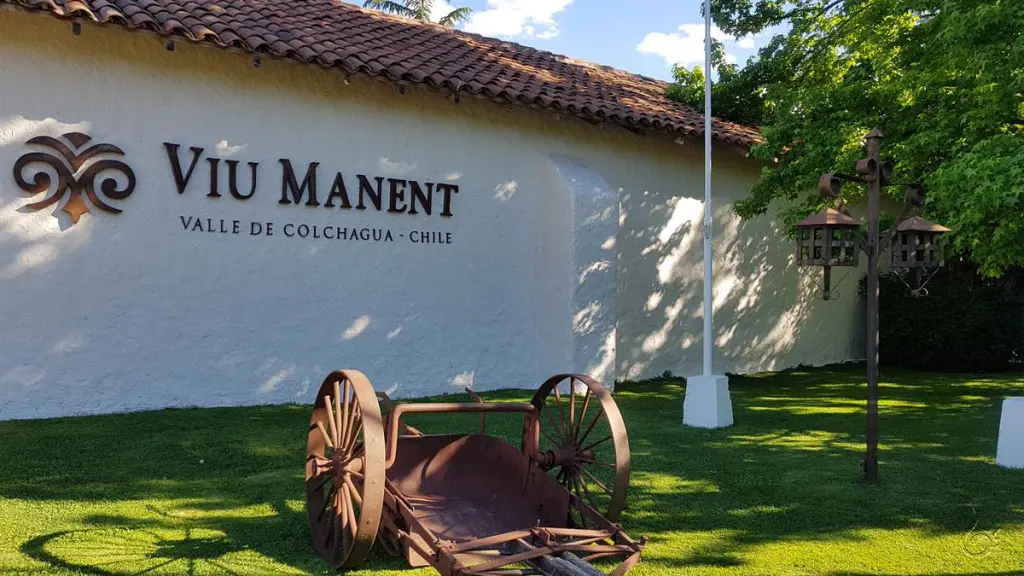 Viu Manent31 1
