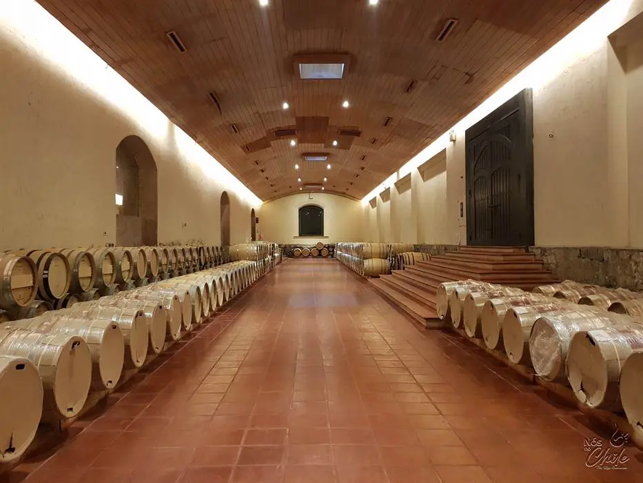 concha y toro166 1.jpg